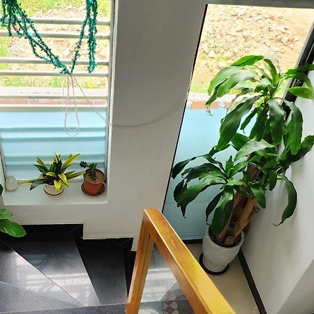 Sena home 3*1*Overlooking Danang Dragon bridge Bagian luar foto