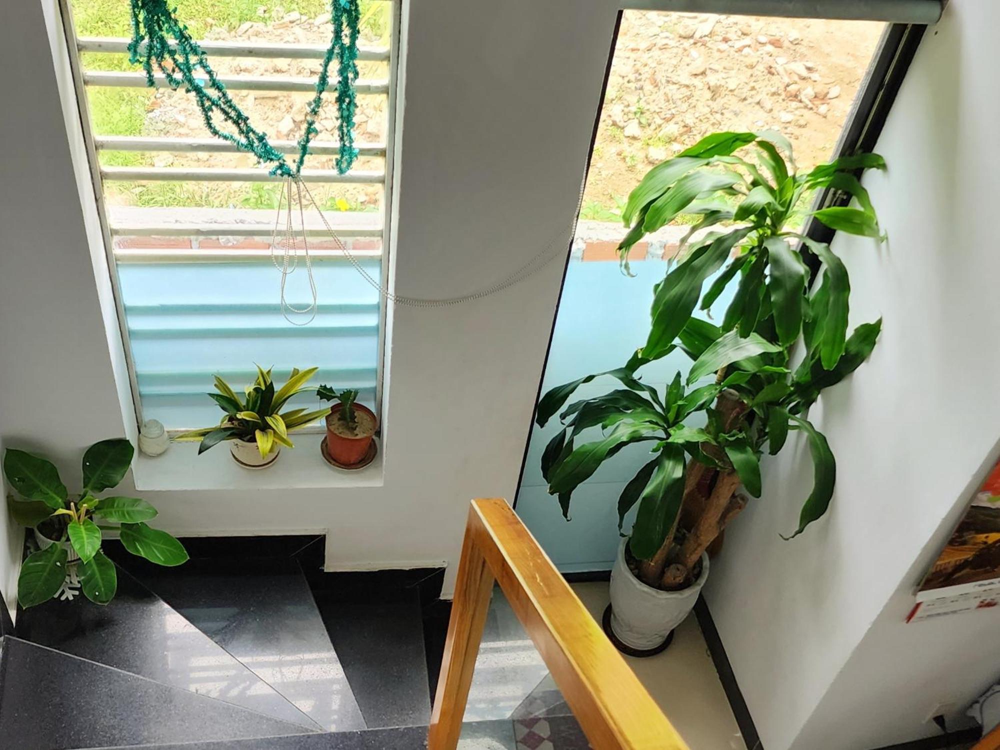 Sena home 3*1*Overlooking Danang Dragon bridge Bagian luar foto